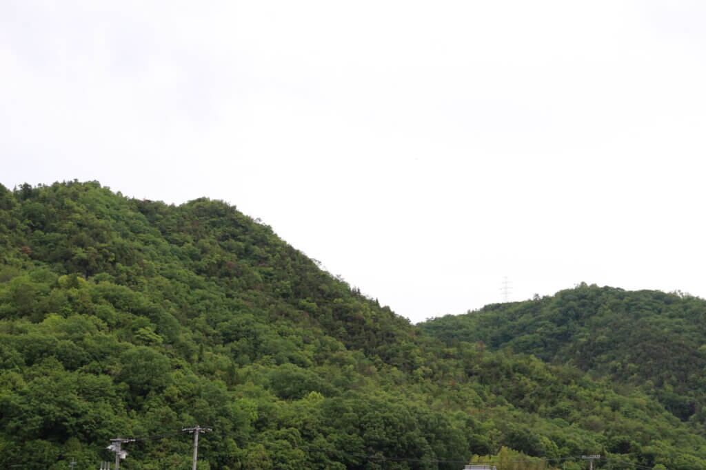 高梁の山