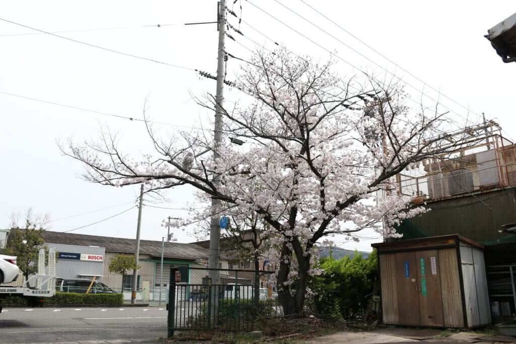 社内からの眺め